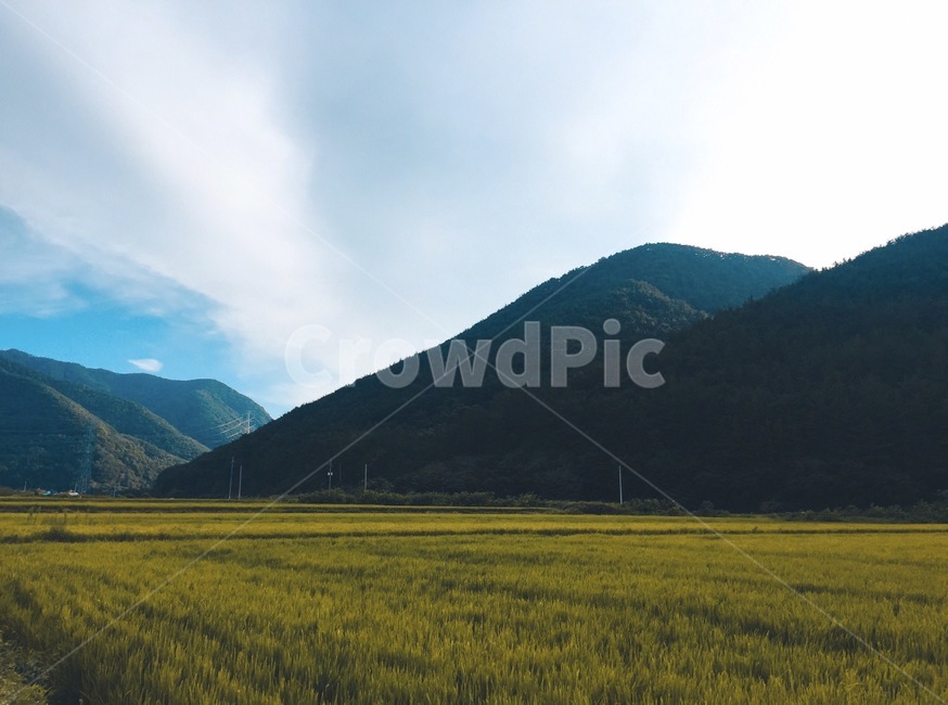 산,논,하늘,구름,그린,초록,대지,땅,자연,컬러,자연,풍경,nature,landscape,outdoors,옥외,mountain range,산맥,mountain