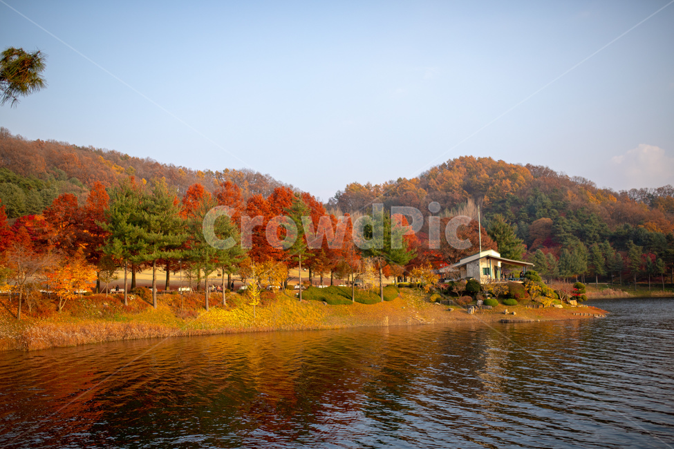 자연,대청호,호수,단풍,가을,nature,outdoors,water,물,나무,tree,maple,자연,풍경,nature,landscape,옥외