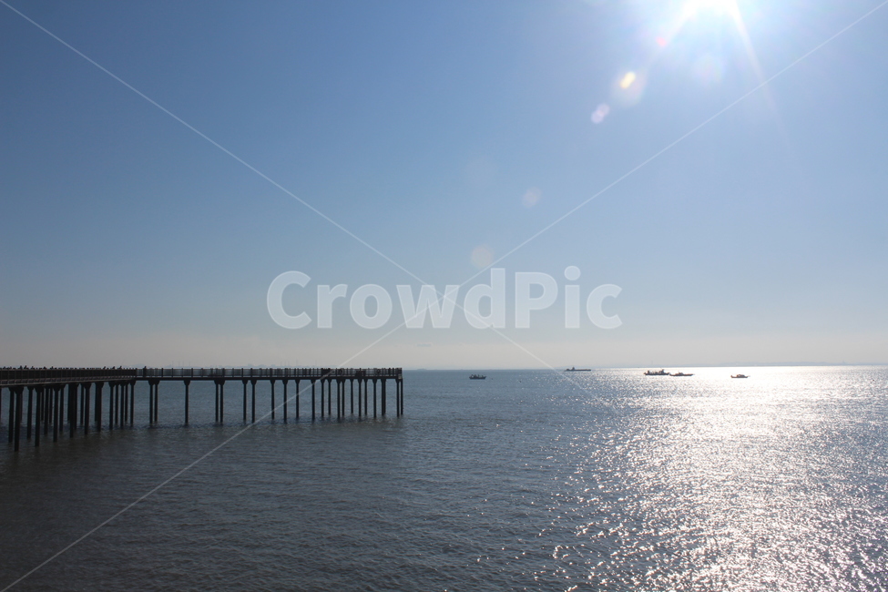 포트,port,물,바다,pier