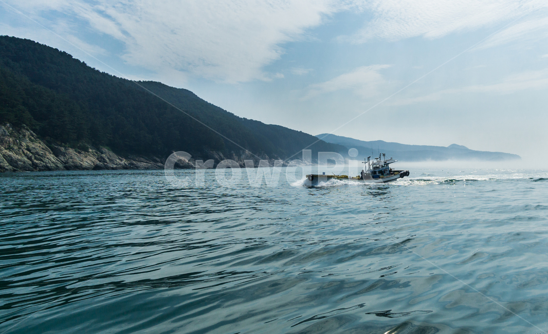 어선,남해바다,통통배,landscape,한국풍경,바다풍경,어업,fishery