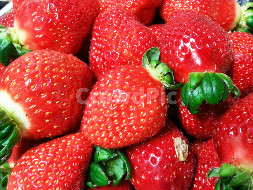 딸기,strawberry,과일,fruit,식품,food,식물,plant,음식,식재료,요리,food,cook,meal,dishes,food reserves,과일,열매,fruit