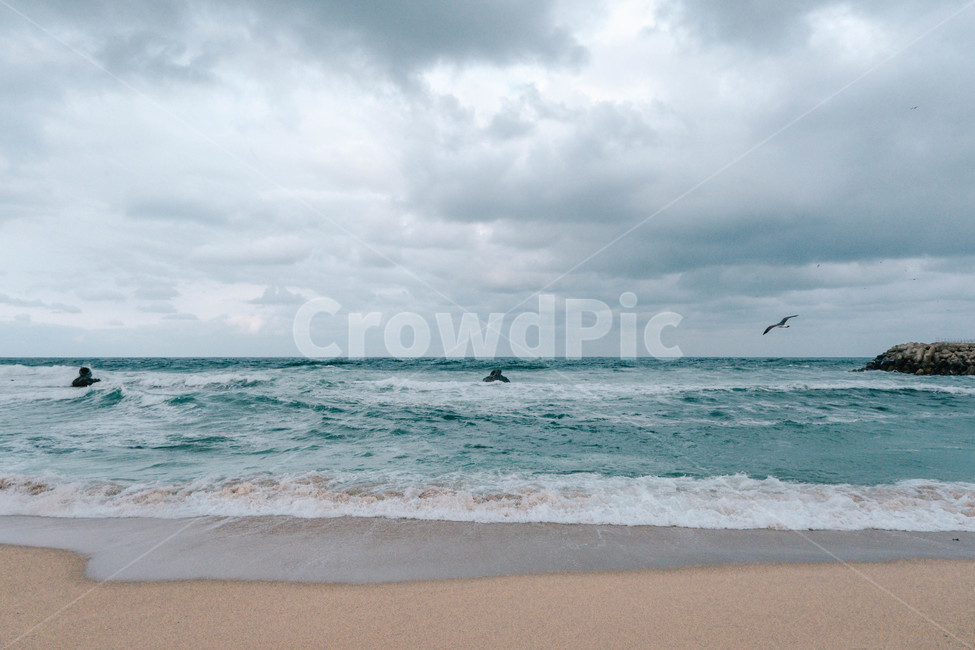 바다,물,동해바다,겨울바다,흐림,먹구름,파도,갈매기,자연,ocean,대양,nature,자연,풍경,nature,landscape