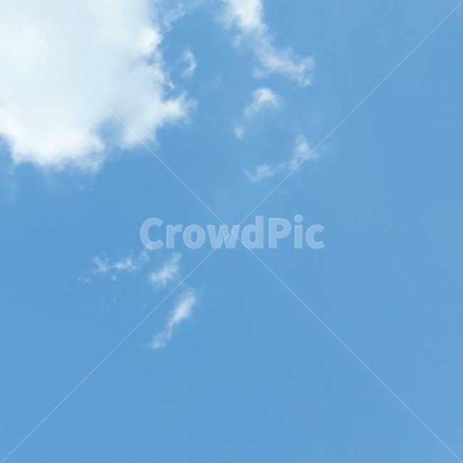 구름,하늘,catcloud,sky,구름고양이,고양이,하늘고양이,skycat,cat,cloud,동물구름
