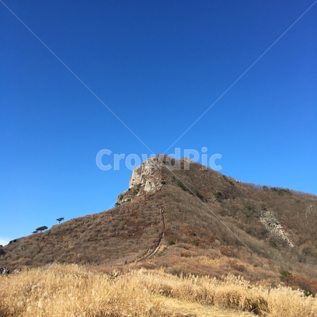 가을,황매산,갈대,배경,하늘,감성