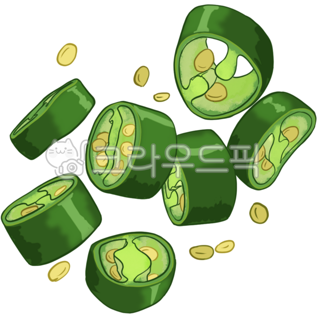 고추,청고추,홍고추,오이고추,아삭이고추,초록,빨강,매운,재료,다진고추,일러스트