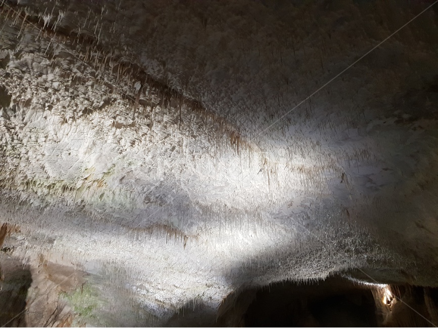 포스토니아동굴,슬로베니아동굴,세계두번째동굴,동굴내부,postonja,postojnskajama,cave,종유석,석순,석주,포스토니아,자연,풍경,nature,landscape,outdoors,옥외