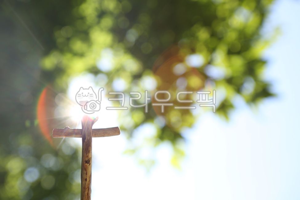 cross,light,shining,jesus christ,tree,hope,sun,sky,religion,clouds,rays,god,faith,belief,church,holy,jesus,cathedral,christianity,catholicism,background,gospel,mission,worship,prayer,grace,blood,meditation,easter,silhouette,s