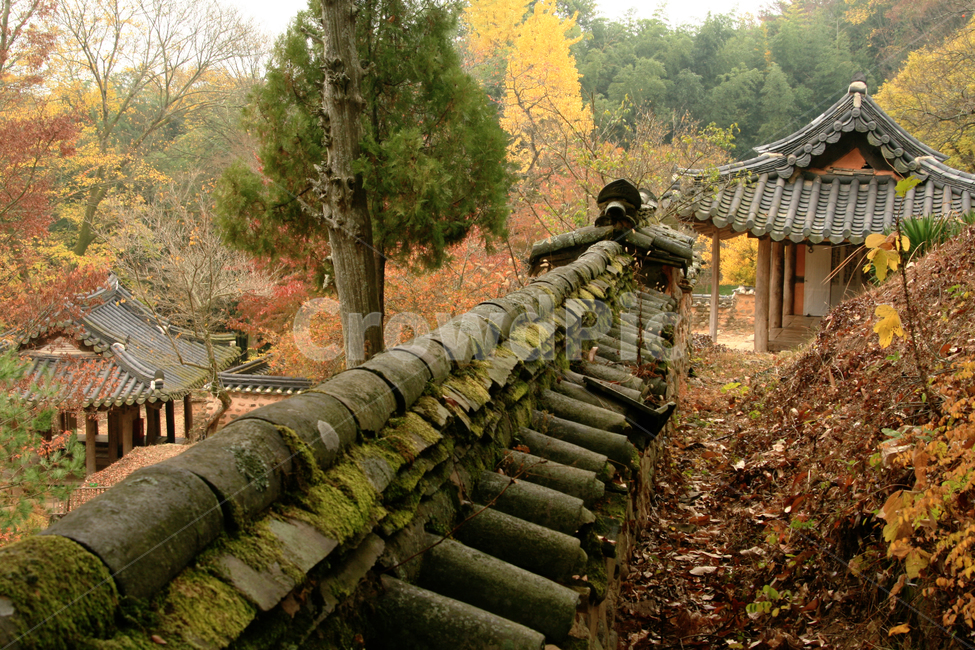 한국,담양,소쇄원,기와,담장,건축
