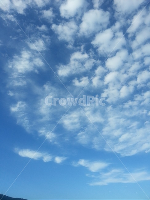 구름,파란하늘,하얀구름,뭉게구름,특이한구름,파란,하얀,special,cloud,sky,bluesky