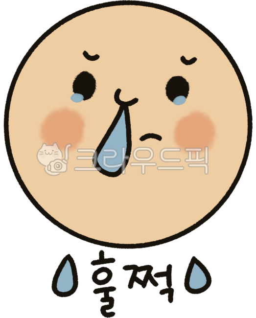 훌쩍,콧물,얼굴,감기,catchacold