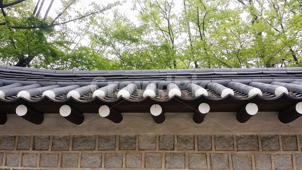 돌담,돌담길,전통,기와,한국전통,덕수궁,여름,나무,고즈넉한,궁,궁궐,한옥,한옥마을,민속촌,한국전통,한국문화,korean traditional,korean culture,건축물,건물외관,exterior,building,structure,architecture,construction