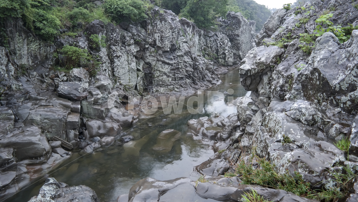 한국자연풍경,쇠소깍,제주도,자연풍경,절벽,소나무,나무,물,비,돌,자연,관광지,회색,우중충,흐림