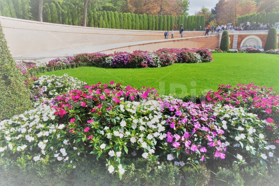 스페인,정원,공원,마드리드,여행,산책,walk,travel,spain,madrid,park,garden,flower,꽃,식물,자연,plants,nature,꽃,flower,해외,외국,세계,foreign,oversea,world