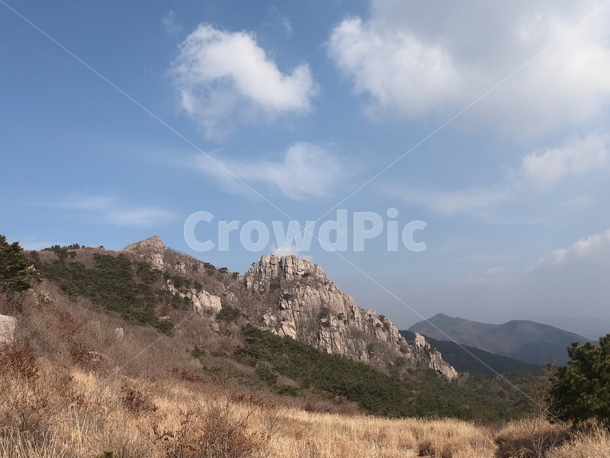 산,자연,등산로,금정산,풍경
