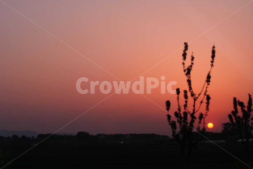 저녁노을,노을,sunset,노을지는들판,저녁무렵