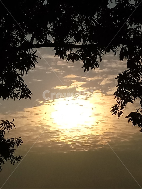하늘,구름,태양,아침햇살,자연,nature,cloud,sky,sunlight,햇빛,자연,풍경,nature,landscape,outdoors,옥외