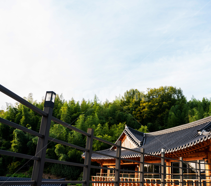 한옥,한국,한옥마을,가옥,기와집,문화재,숲,한국전통,한국문화,korean traditional,korean culture,건축물,건물외관,exterior,building,structure,architecture,construction