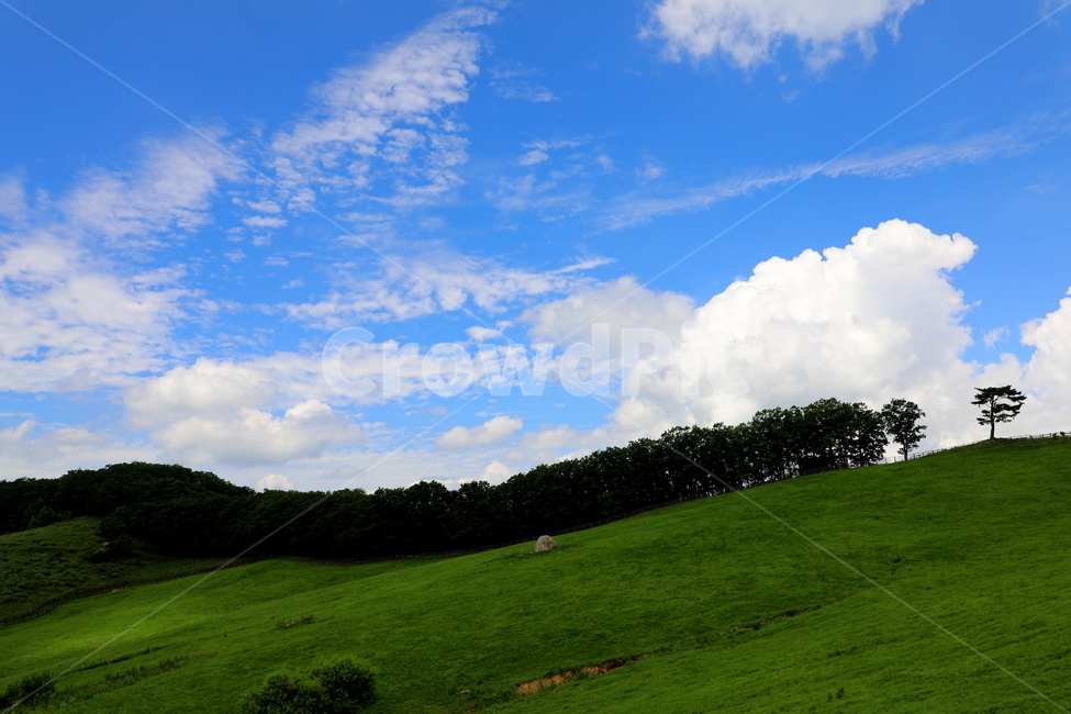 산,구름,경치,풍경,초원,자연,풍경,nature,landscape,grassland,목초지,outdoors,옥외,field,들,grass,잔디,plant,식물,rural,농촌,farm,농장