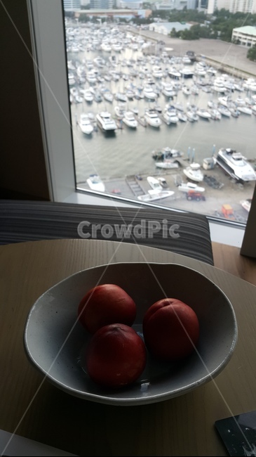 시선,천도복숭아,과일,fruit,food,음식,보트,boat,정박,실내,요트