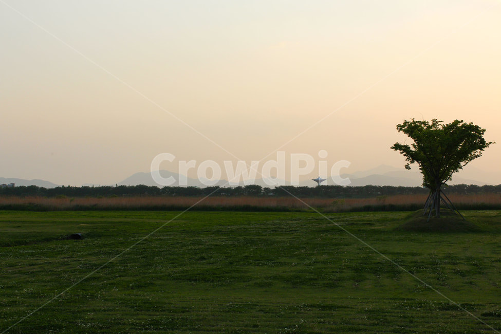 공원,나무,잔디,감성배경,경치,분위기,자연풍경,sky,nature
