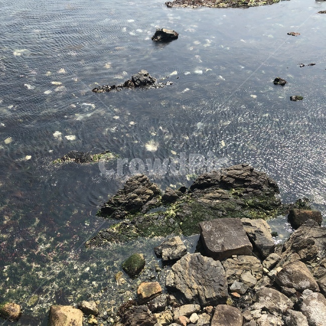 바다,해변,돌,겨울바다,여름바다,풍경