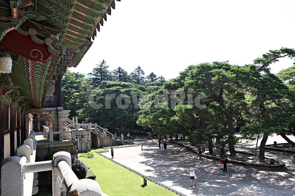 경주,불국사,절,사찰,국보,보물,전통,기와집,여름,집,한옥