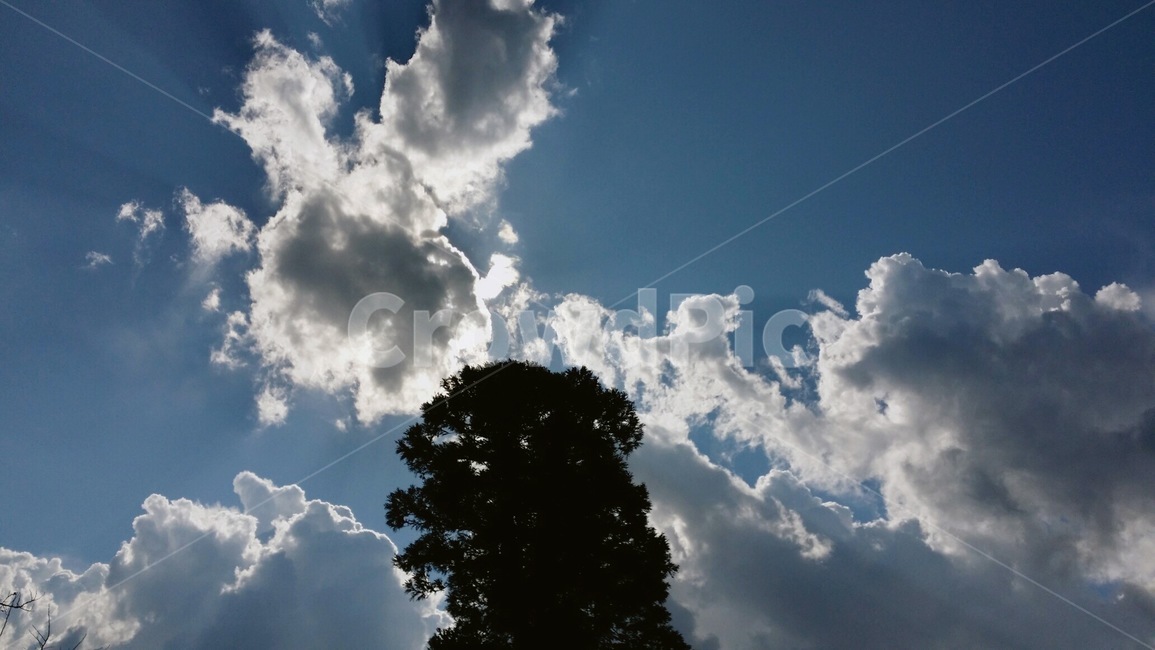 하늘,구름,나무,그림자,햇빛,파란색,하늘색,햇살,맑음,감성,sky,cloud,blue,sun,sunlight,shadow,tree