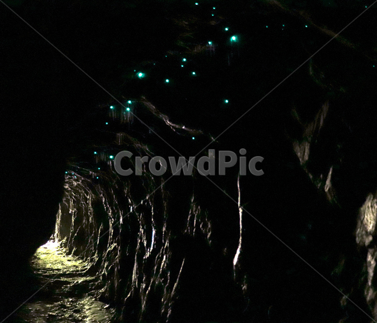 동굴,글로우웜,glowworm,은하수,동굴은하수,nightphoto