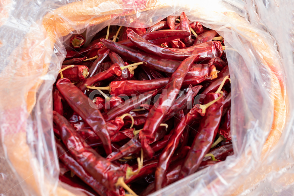 마른고추,수확,양념,재료,유기농,익음,식이요법,아시아인,요리,건강,음식,야채,빨강,소스,맛,건조,매콤,채소,야채,vegetables