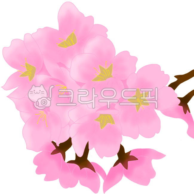 cherryblossom,sakura,cherryblossomflower,sakuraflower,cherryblossombranch,sakurabranch,pinkcherryblossom,cherryblossompetals,sakurapetals,springflower,springblossom,floralillustration,flowerillustration,cherryblossomillustration,sakuraillustration,cherryblossomelement,sakuraelement,cherryblossomclipart,sakuraclipart,cherryblossomvector,sakuravector,cherryblossompng,sakurapng,cherryblossomtransparentbackground,floralelement,flowerelement,pinkflower,springfloral,floraldecoration,botanicalillustration,natureflower,romanticflower,delicateflower,pastelflower,cuteflower,blossomillustration,blossomelement,floraldesign,springnature,flowergraphic