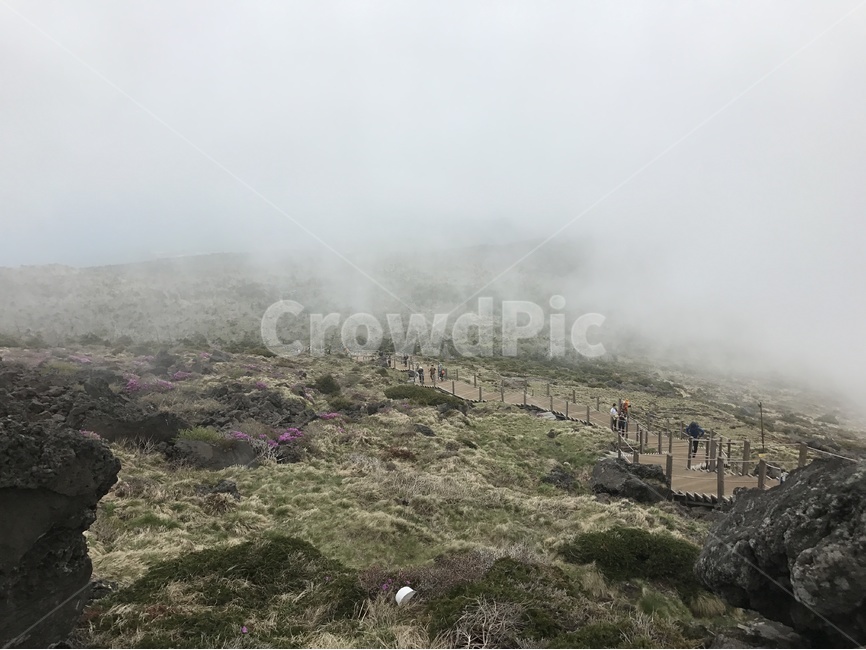 한라산,제주도,안개,산,자연,한라산등반,등산,한라산등산,등산코스,한라산등산코스,제주,풍경,hallasan,jeju,jejuisland,nature,mist,climbing,hiking,green,자연,풍경,nature,landscape,제주도,jeju,jeju island,weather,날씨,outdoors,옥외