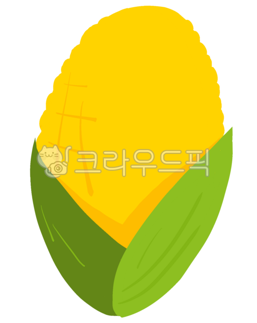 옥수수,여름,통통한,노란옥수수,여름옥수수