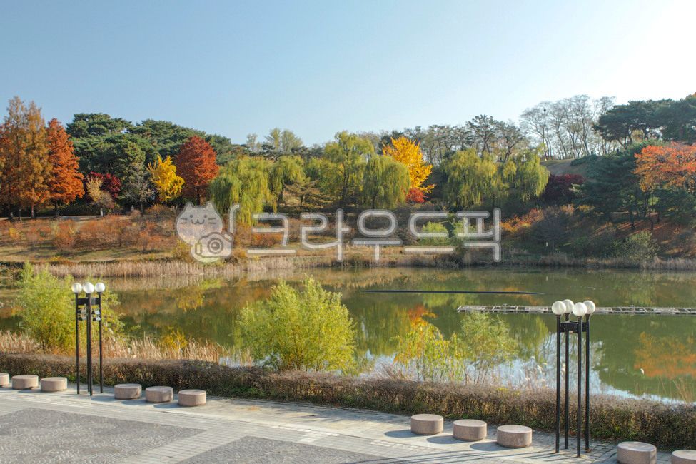 Olympic Park,theme park,Move room,city,tree,water,Street lamp,seoul,trail,streetlamp,outdoors,plant,park,walk,Songpagu