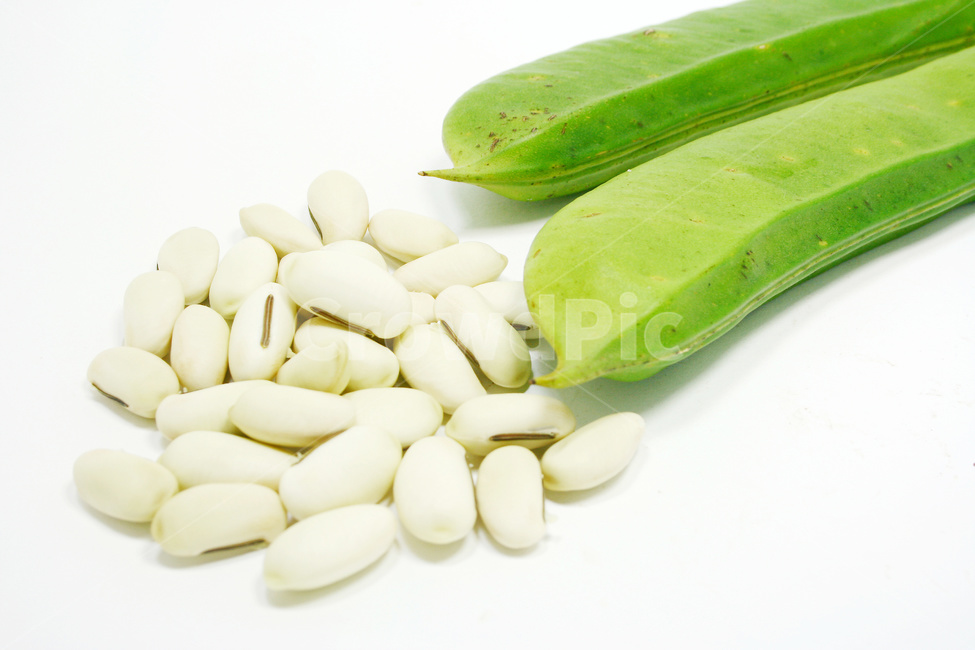 콩,작두콩,콩깍지,콩재배,콩농사,농작물,콩류,견과류,beans,pulse,nuts,dry fruits