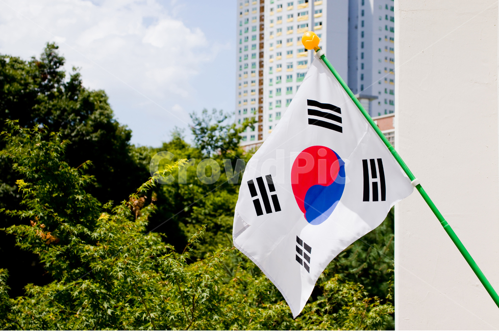 태극기,국기,광복절,국경일,한국,대한민국,깃발,남한,문양,패턴,기념일,삼일절,31절,제헌절,개천절,한글날,국군의날,기념,축하,애국심,상징,심볼,국민,문화,태극,태극문양,건곤감리,나라,국가,배경,바탕,백그라운드,경치,바람,풍경,국기게양,태극기게양,게양,건물,빌딩,나무,숲,하늘,구름,taegeukgi,nationalflag,koreanflag,korea,korean,nationalholiday,flag,symbol,country,nation,culture,background,tree,sky,cloud,pattern,building,patriotism,landscape,view,southkorea,flagraising,anniversary,celebration,도시,풍경,city,landscape