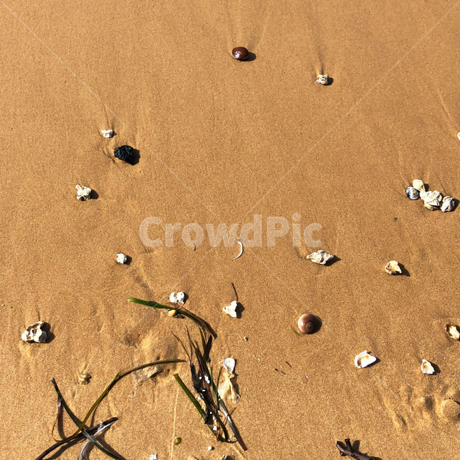 바다,모래,파도,힐링,자연,sand,nature,해변,바다,beach,sea