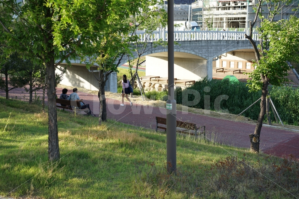 젊음,노부부,거리,풍경,부부,추억,회상,산책,인연,벤치,산보,동반자,사랑,휴식,힐링,rest,relaxation,healing,사람,인물,인간,human,person,연인,커플,사랑,lover,couple
