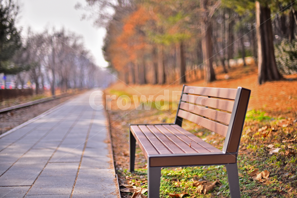 가을길,풍경,끝없는,길,로드,보도블럭,겨울풍경,야외,옥외,아웃도어,배경,바탕,백그라운드,landscape,outdoor,빈의자,의자,벤치,나무의자,실루엣,늦가을,늦은오후,가로수,tree,나무,plant,식물,나무줄기,산책로,휴식,힐링,rest,relaxation,healing