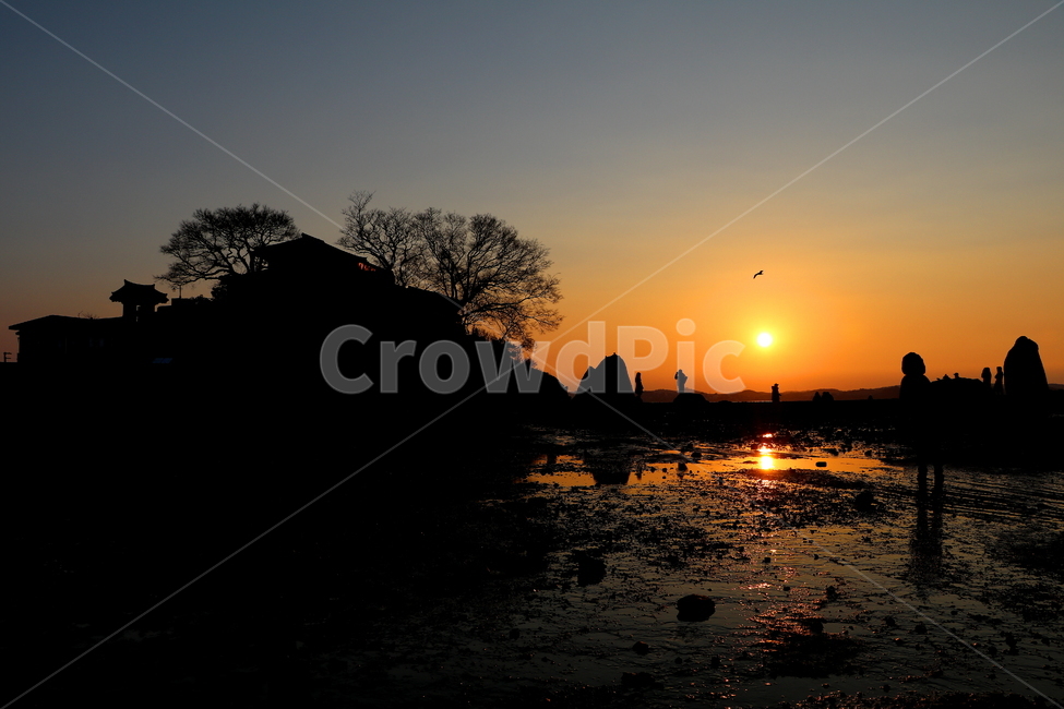 silhouette,실루엣,풍경,석양,노을,바다,자연,풍경,nature,landscape,사람들,대중,군중,other people,crowd,실루엣,그림자,silhouette,shadow,인물실루엣,사람실루엣,character silhouette,human silhouette,outdoors,옥외,sunlight,햇빛,light,빛,flare,플레어,animal,동물,bird,새,dawn,새벽,dusk,황혼,sunset,일몰,sky,하늘,red sky,붉은 하늘