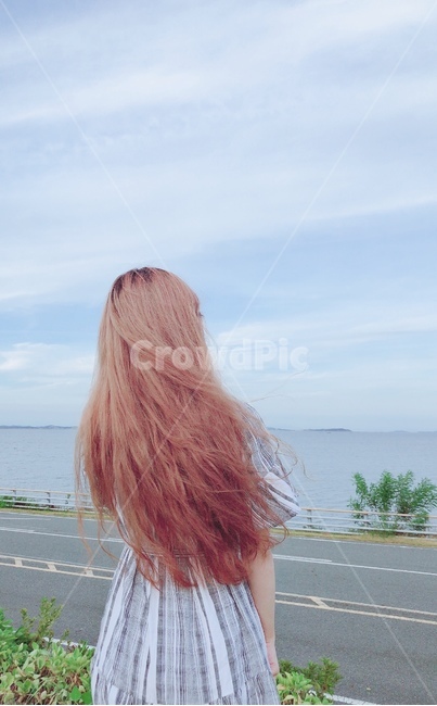 뒷모습,도로,풍경,바람,사람
