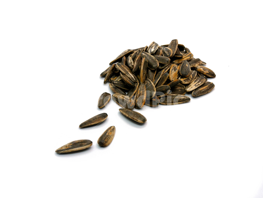 ingredient,seed,snack,sunflower seeds,sunflowerseed,white background,sunflower,nutritious,nuts,healthy,eat,roasted,Roasted seaweed seeds,diet,tasty