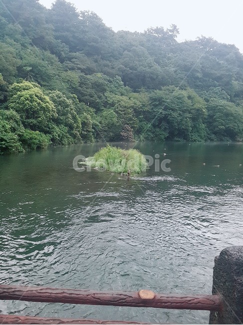 자연,호수,물,water,nature,자연,풍경,nature,landscape,outdoors,옥외