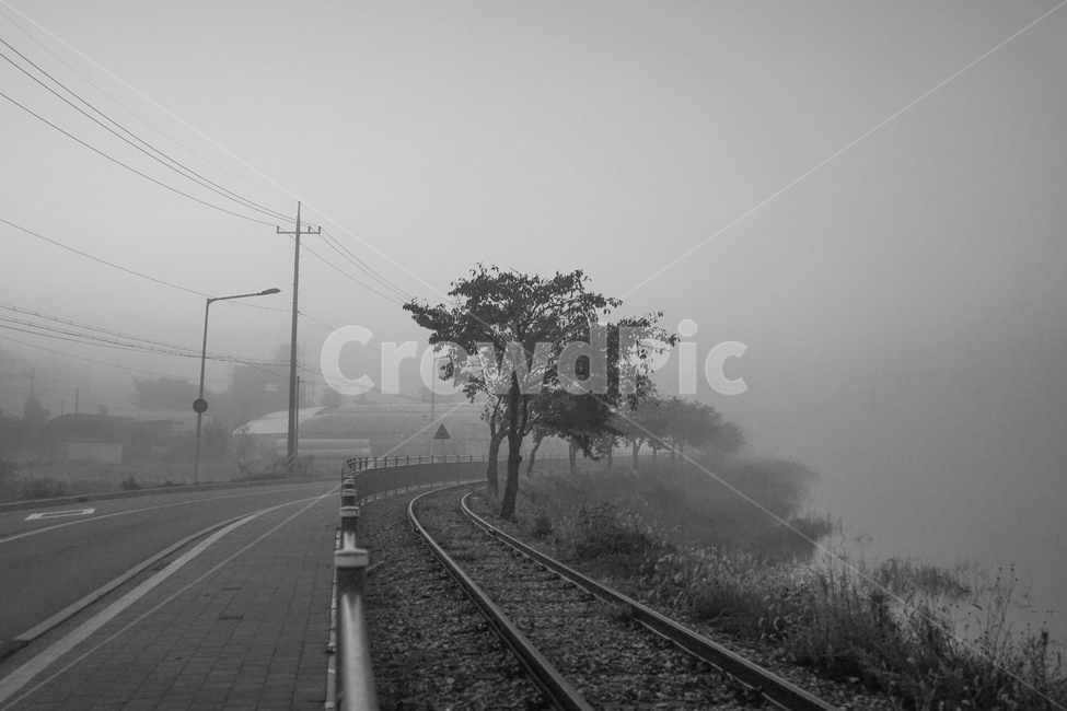 철길,새벽,여명,안개,선로,기찻길,호수,수변,자연,풍경,nature,landscape,흑백,모노톤,monochrome,black and white,rail,레일,transportation,교통,train track,railway,철도,weather,날씨