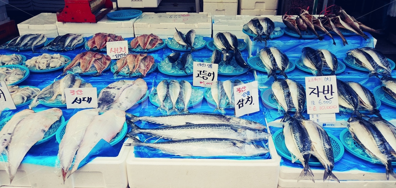어패류,생선,음식,food,생선가게