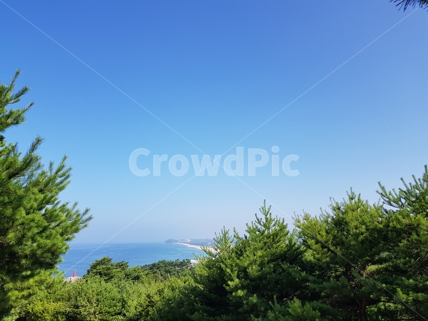 바다,산,나무,풍경,한국