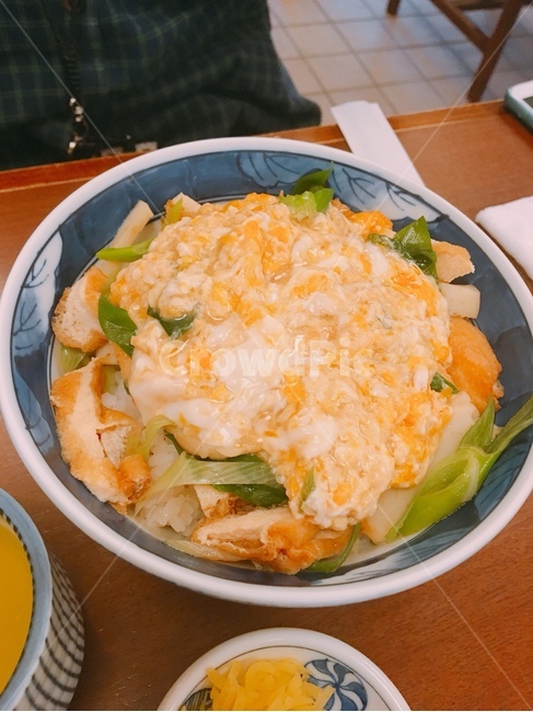 음식,부타동,일식,덮밥,일식덮밥,계란덮밥,달걀덮밥,일본음식