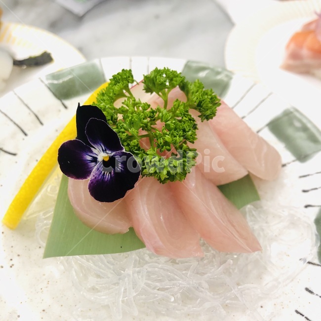 생선회,kingfish,rowfish,fresh,fish