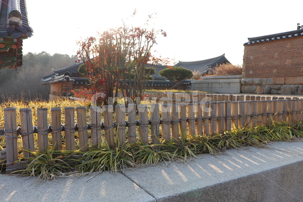 building,건물,architecture,건축물,worship,신사,shrine,신전,temple,예배,절,전통,traditional,한국전통,한국문화,korean traditional,korean culture