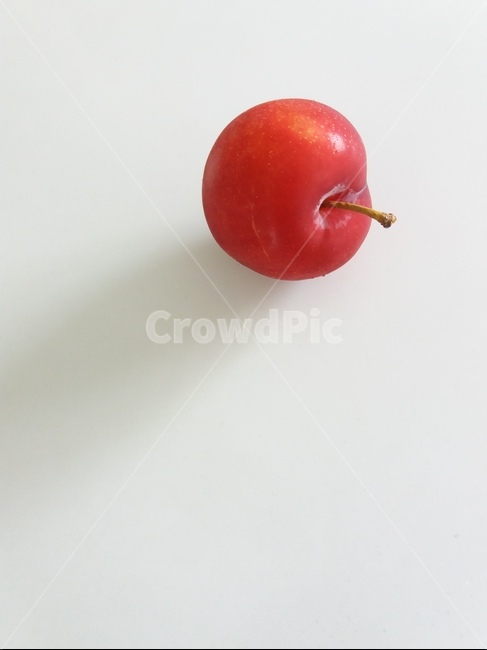 식물,plant,과일,자두,빨강,red,하얀,white,빛,light