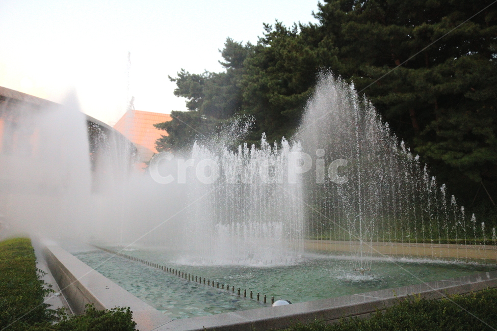 분수,분수대,물,공원,예술의전당,나무,소나무,자연,풍경,nature,landscape,water,fountain
